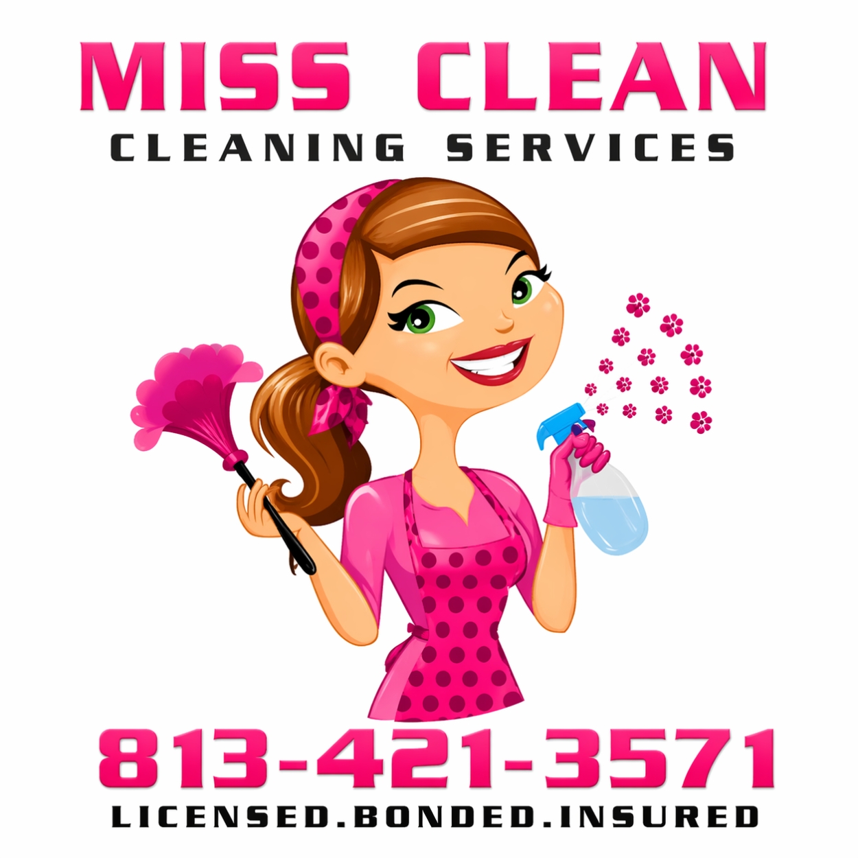 Miss Clean Enterprise